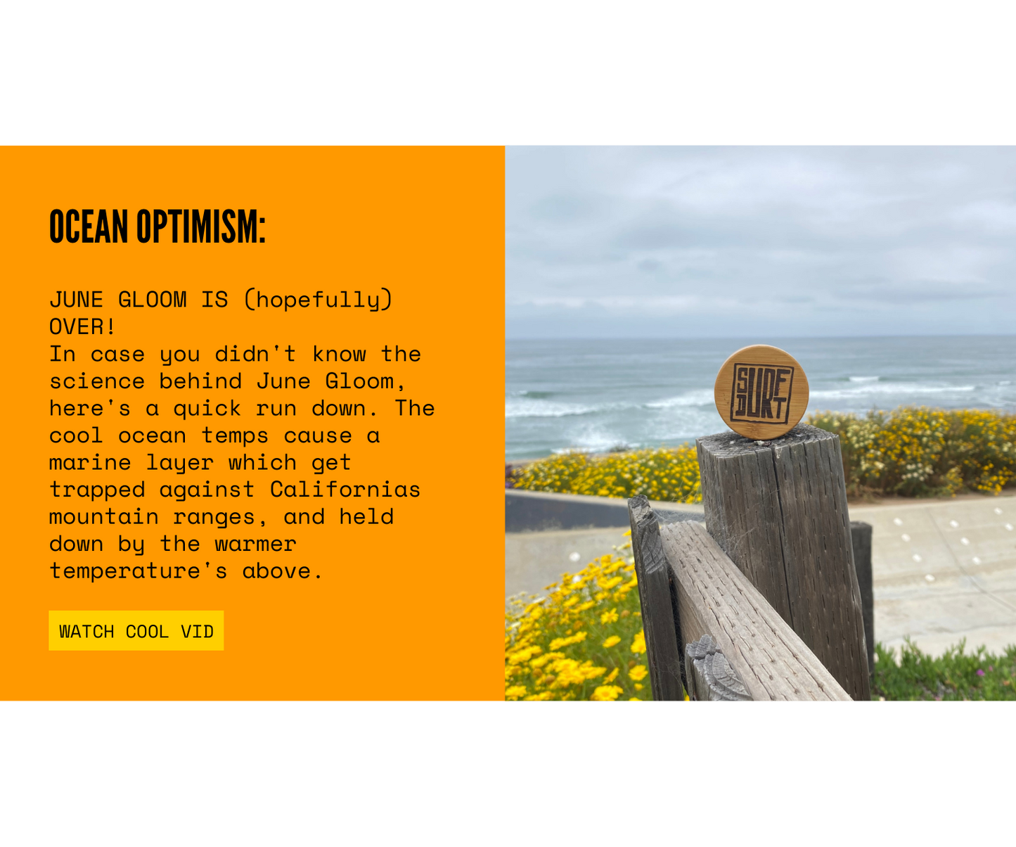Email Marketing: SurfDurt