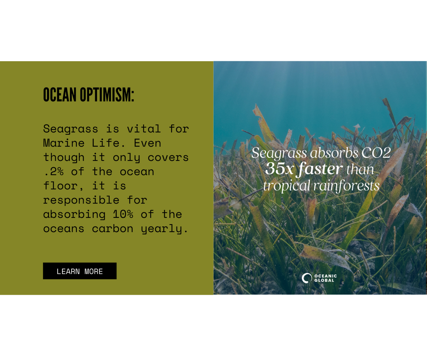 Email Marketing: SurfDurt