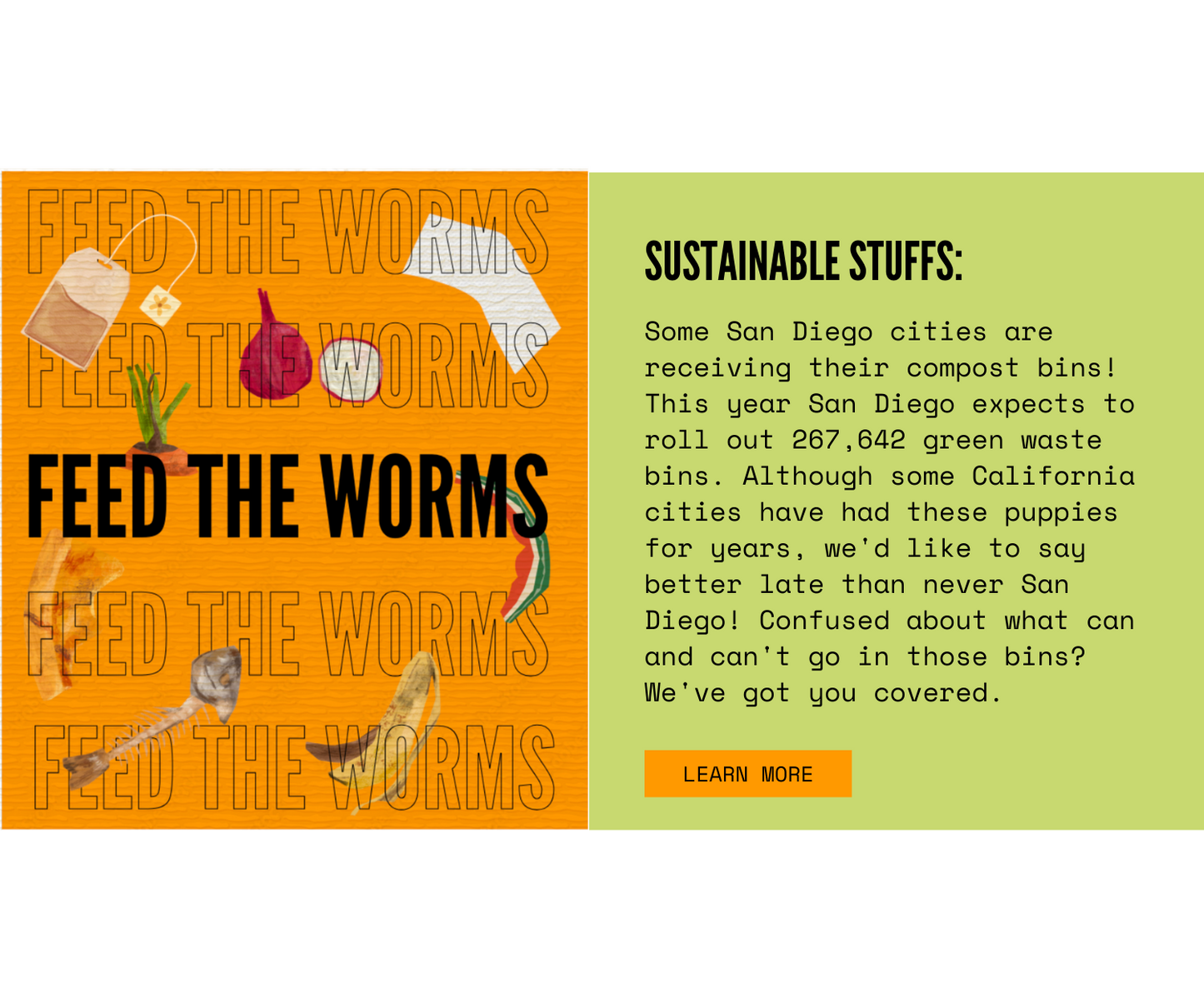 Email Marketing: SurfDurt