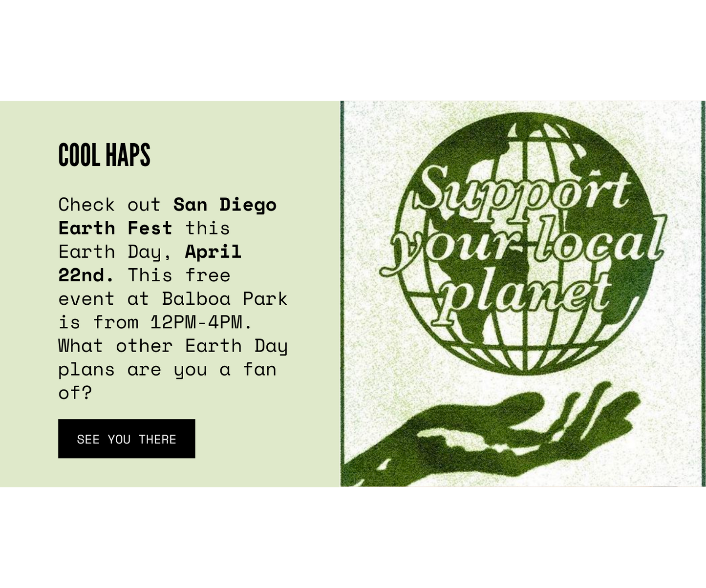 Email Marketing: SurfDurt
